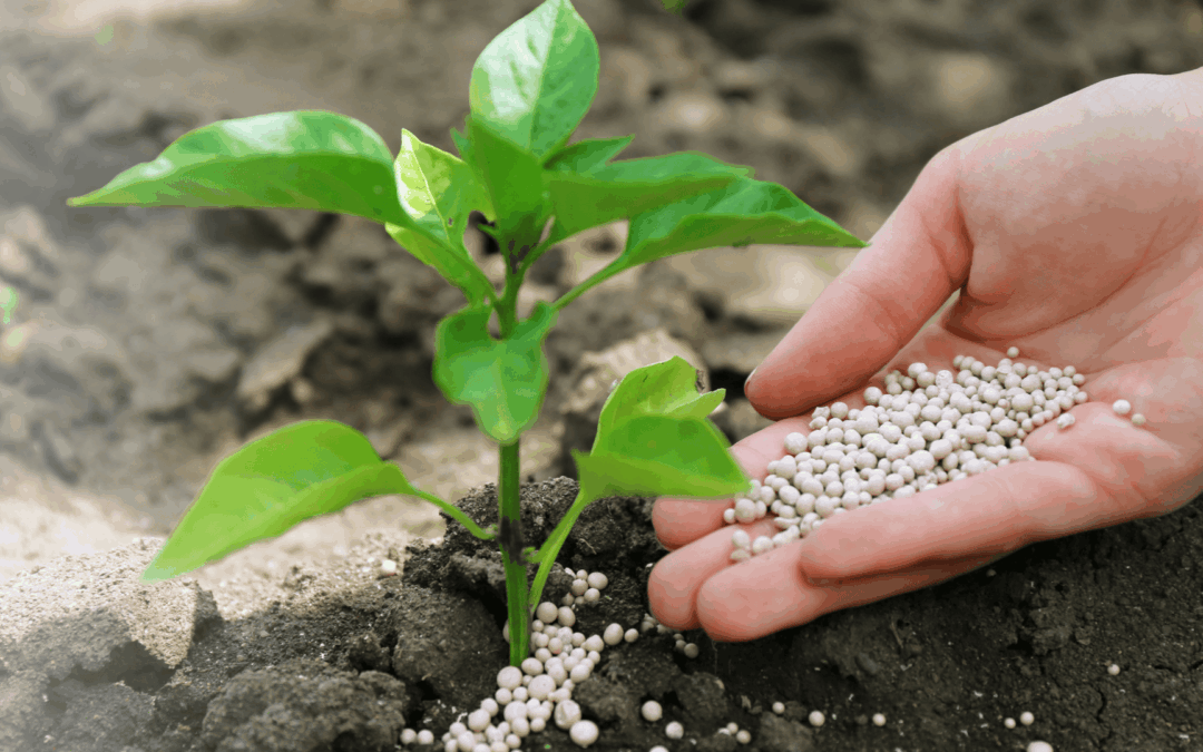 5 simple strategies for organic sales growth